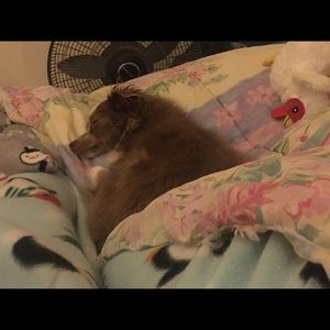 Meet your Posher, Angela